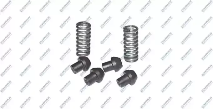 р/к синхронизатора! (сухарики+пружинки)\Scania K0502289 KACMAZLAR