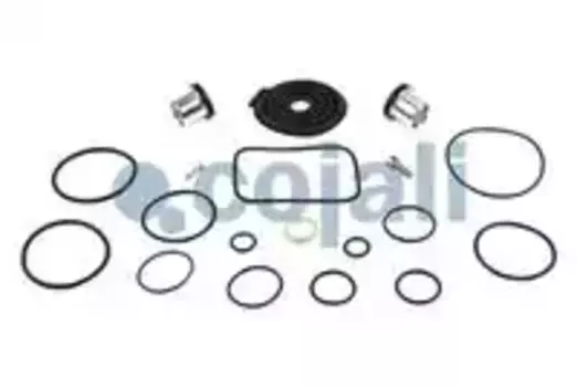 р/к тормозного крана EBS!4800010110 (прокладки р, кольца уплотнит р, манжеты р)\ MB Actros 6012172 COJALI