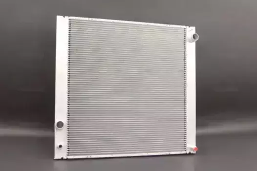 Радиатор системы охлаждения двигателя TERMAL 644329