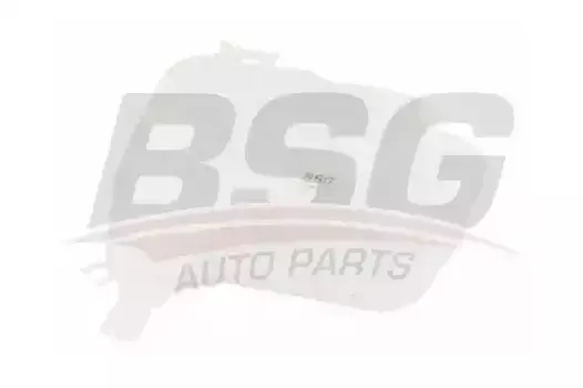 Расширительный бачок BSG BSG 16-550-006