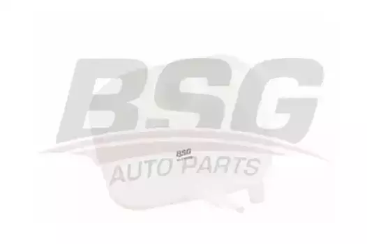 Расширительный бачок BSG BSG 65-550-003