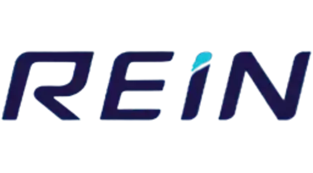 REINWV1355 Дефлектор окон накладной для JETOUR X50 2024-, кроссовер / Джитур / Джитур Х50