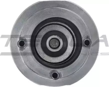 реле втягивающее!\ Ford Fiesta Courier Ka 1.0/1.6/ESCORT 1.6L/ECOS TT76826 TESLA TECHNICS