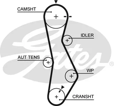 Для ГРМ GATES 5579XS 1172 мм 28 мм