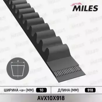Ремень клиновой 10 мм 1 ручьев MILES AVX10X918