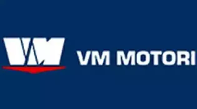 Ремень клиновой VM 46510538A