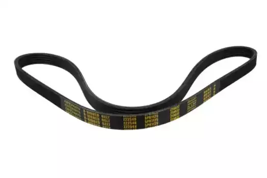 Ремень поликлиновой 1125 мм 5 ручьев ZENTPARTS Z22548