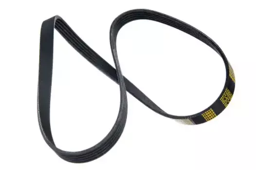 Ремень поликлиновой 1145 мм 5 ручьев ZENTPARTS Z22549