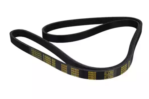 Ремень поликлиновой 1570 мм 5 ручьев ZENTPARTS Z22563