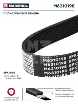 Ремень поликлиновой 2065 мм 8 ручьев MARSHALL M6310198