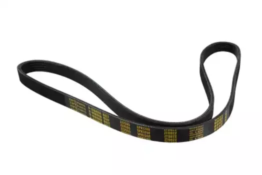 Ремень поликлиновой 1240 мм 5 ручьев ZENTPARTS Z22555