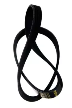 Ремень поликлиновой 875 мм 5 ручьев ZENTPARTS Z22536