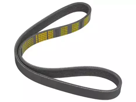 Ремень поликлиновой 800 мм 6 ручьев ZENTPARTS Z23166