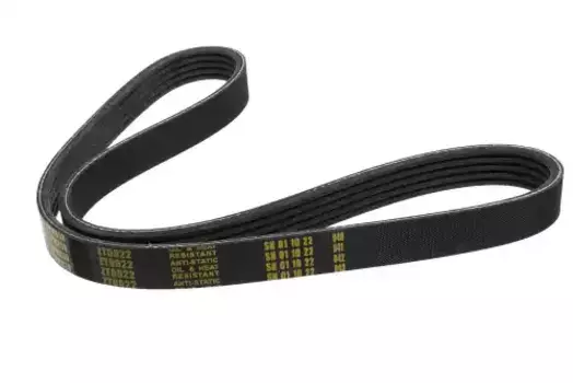 Ремень поликлиновой 810 мм 5 ручьев ZENTPARTS Z22532