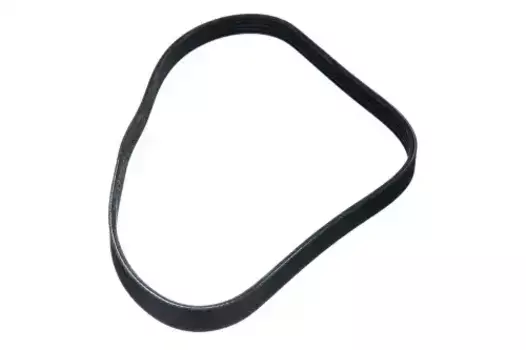 Ремень поликлиновой 865 мм 5 ручьев ZENTPARTS Z22534