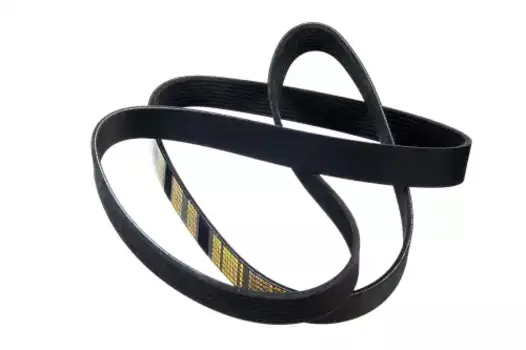 Ремень поликлиновой 1655 мм 8 ручьев ZENTPARTS Z23510