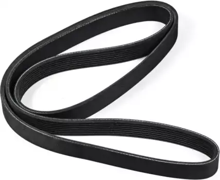 Ремень поликлиновой 1670 мм 8 ручьев ZENTPARTS Z22994