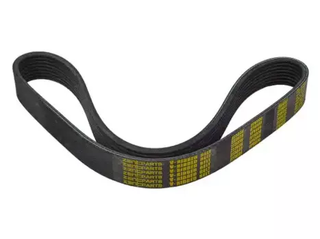 Ремень поликлиновой 800 мм 8 ручьев ZENTPARTS Z23039