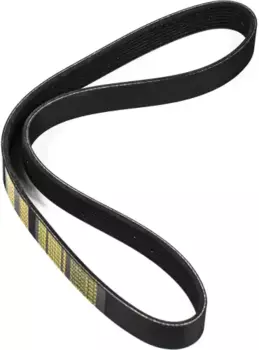 Ремень поликлиновой 955 мм 8 ручьев ZENTPARTS Z23021