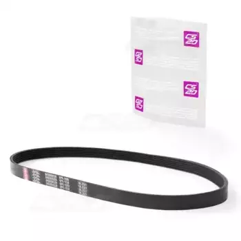 Ремень поликлиновой CS20 13831