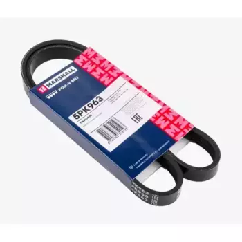 Ремень поликлиновой MARSHALL M6310490