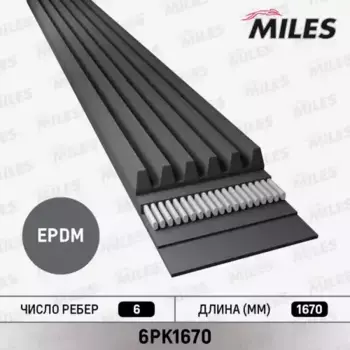 Ремень поликлиновой MILES 6PK1670
