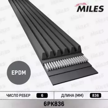 Ремень поликлиновой MILES 6PK836