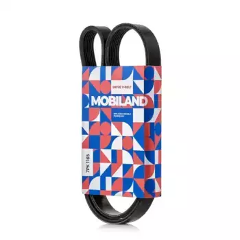 Ремень поликлиновой MOBILAND 501271165