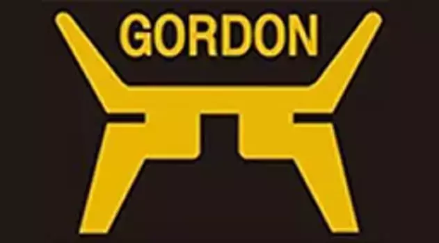 Решетка бампера GORDON GD4587DL