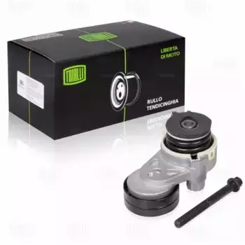 ролик ГРМ с механизмом натяжения!\ Chevrolet Cruze 1.6i 09> CM 0507 TRIALLI