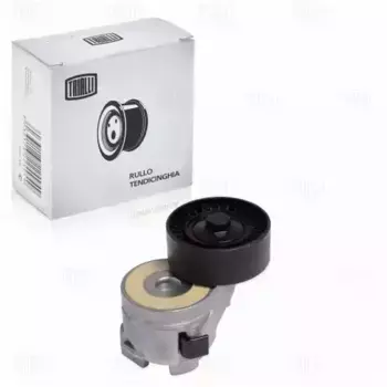 ролик ГРМ с механизмом натяжения!\ Fiat Ducato 2.3 06> CMS 1604 TRIALLI