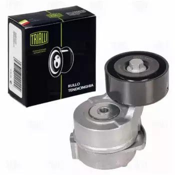 ролик ГРМ с механизмом натяжения!\ KIA Sorento, Hyundai H-1 2.5d 07> CM 5050 TRIALLI
