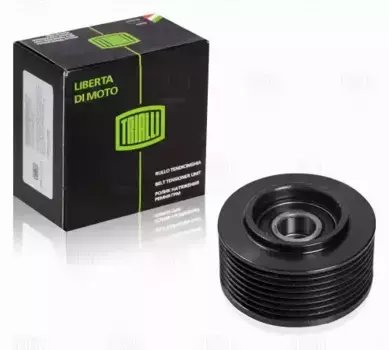 ролик натяжителя ремня! 73x34x38\ DAF,Kamaz Евро-5 CM 0778 TRIALLI