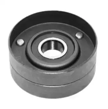 ролик натяжителя ремня! ролик отдельно 70x30x17\ DAF CF85/XF95/XF105 331316170316 MAGNETI MARELLI