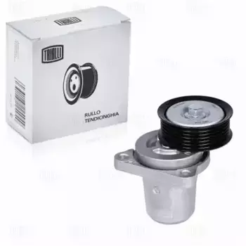 ролик натяжной c механизмом натяжения! без AC\ Mazda 6 1.8i/2.0i/2.3i 02> CMS 1206 TRIALLI