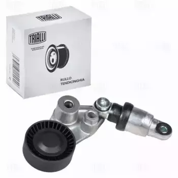 ролик натяжной c механизмом натяжения!\ SsangYong Actyon 2.0d 05> CMS 1701 TRIALLI