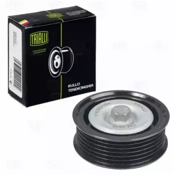 ролик натяжной ремня! без натяжителя\ Nissan X-Trail 2.5 07-13 CM 3036 TRIALLI