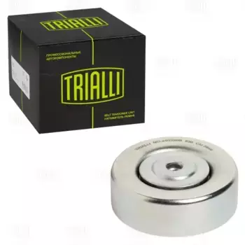 ролик натяжной ремня ГРМ!\ BMW E34 88>/E36 2.5d 90> CM 5849 TRIALLI