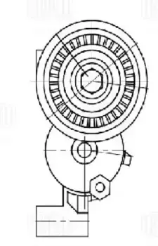 ролик натяжной с механизмом натяжения!\ Ford Mondeo V 15> CM 5720 TRIALLI