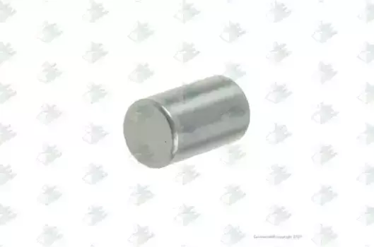 ролик подшипника! КПП наборного сателита делителя 10x16.8 140x \MAN,MB,DAF,Iveco ZF 95570722 EURORICAMBI