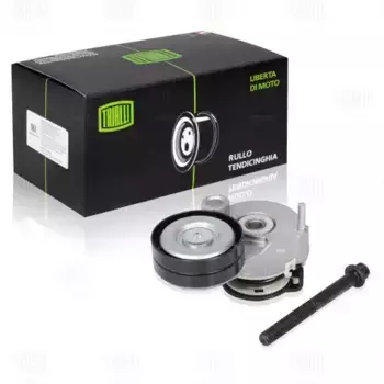 Ролик привод. ремня для а/м Chevrolet Cruze (09-) 1.6i/1.8i (с натяж. мех.) (22x63) (подшип CM 0507N TRIALLI