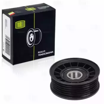 Ролик привод. ремня для а/м Chevrolet Blazer (94-) 4.3i (только ролик) (CM 0534) TRIALLI