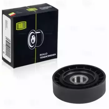 Ролик привод. ремня для а/м Fiat Ducato (94-) 1.9D с A/C (только ролик) (CM 1601) TRIALLI