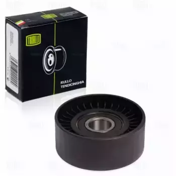 ролик привод. ремня!\ Fiat Ducato 2.3 JTD 06> CM 1604 TRIALLI