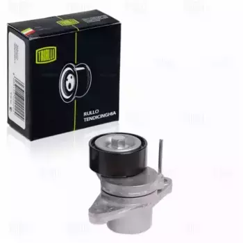 ролик привод. ремня с натяж. мех.!\ Renault Logan 04>, Duster 10> CM 0914 TRIALLI