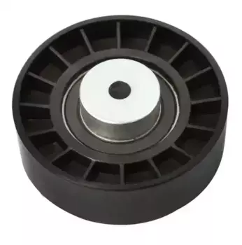 Ролик ремня приводного OPEL OMEGA A/VECTRA A 2.5 V6 (INA 532030910) AG03297 MILES