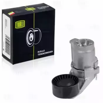 ролик ремня приводного! с натяжным механизмом\ BMW X5 E70 3.0i 10> CM 5144 TRIALLI