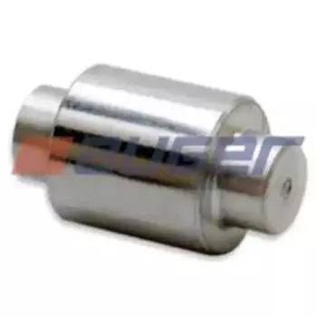 ролик тормозной !32x19x60 \SAF, Trailor 52368 AUGER