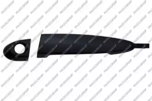 Ручка двери PRASCO BM8228004