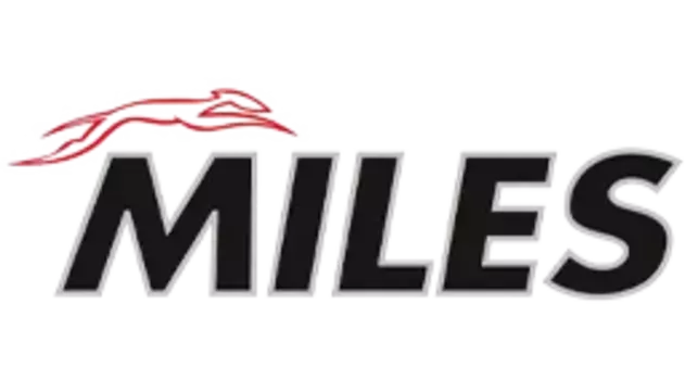 Рычаг подвески MILES DB62511